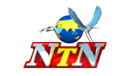 Channel Logo NTN LOGO 00001