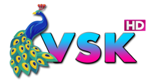 Channel Logo VSK HD 00292